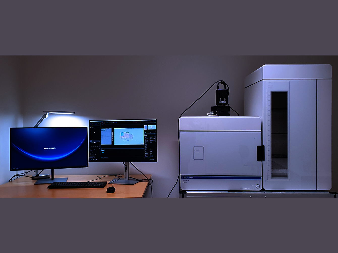 CRBS PIC-STRA Olympus VS200 © Pascal Kessler