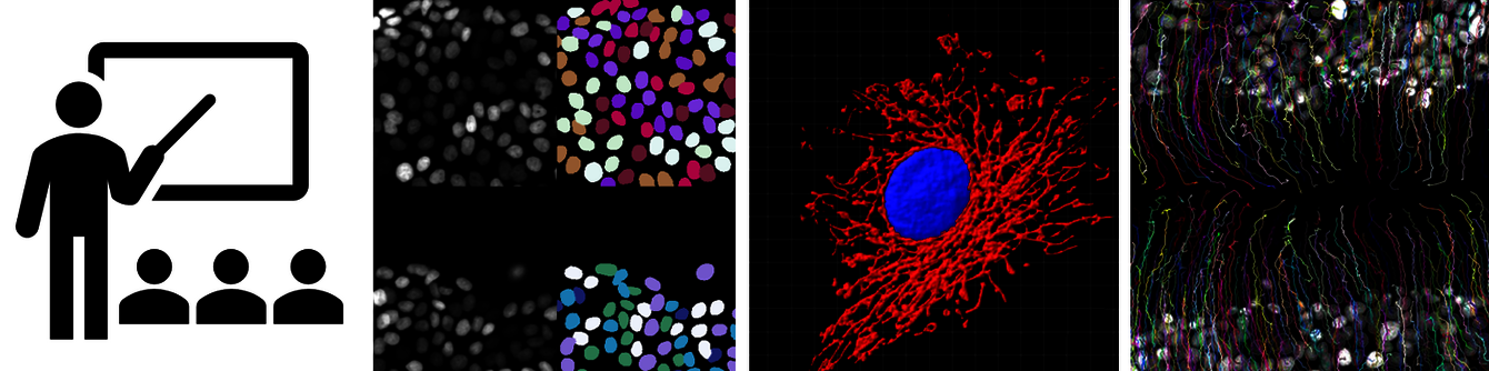 CRBS PIC-STRA tutoriels imagerie © Pascal Kessler