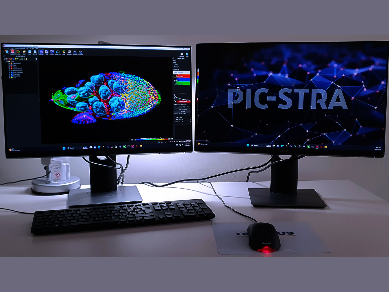 CRBS PIC-STRA Traitement et analyse © Pascal Kessler