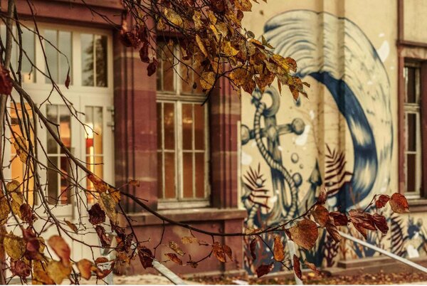 Salle de Consommation à Moindre Risque ARGOS ©ITHAQUE