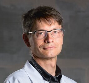 Pascal Steullet, Neurobiologist, Research scientist, Unité de recherche sur la schizophrénie, Centre de Neurosciences Psychiatriques, CHUV, Prilly-Lausanne, Suisse