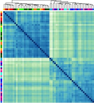 CRBS U1118 Heatmap ©C. Marques & C. Rouaux